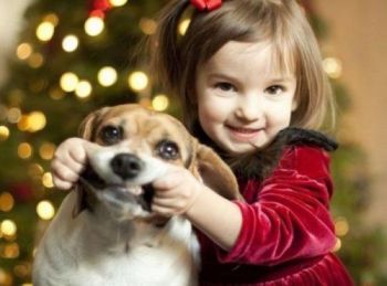 children-christmas-dog-fir-babies-fun-Favim.com-230268